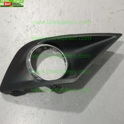 Mistlamp afdekkap links