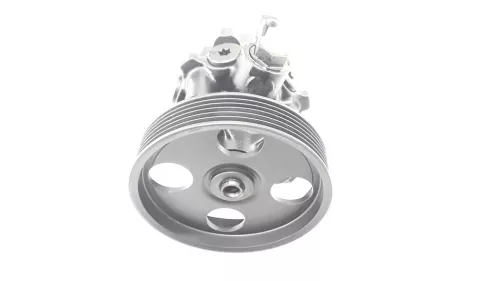 PSA / Stellantis HD Pomp 4007Y6 (C36YA)