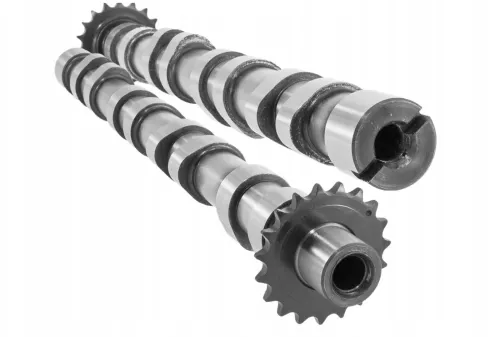 PSA / Stellantis C250AI - HDI 2.0 16V RHR RHL DW10BTED4/ GEEN DISTRIBUTIE POELIE/ (C250AI)