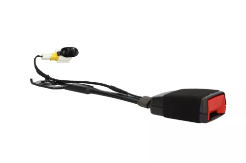 PSA / Stellantis P84E/ LINKS + RECHTS VOOR HETZELFDE/ +VERKLIKKER/ 9809502477 (0000387303)